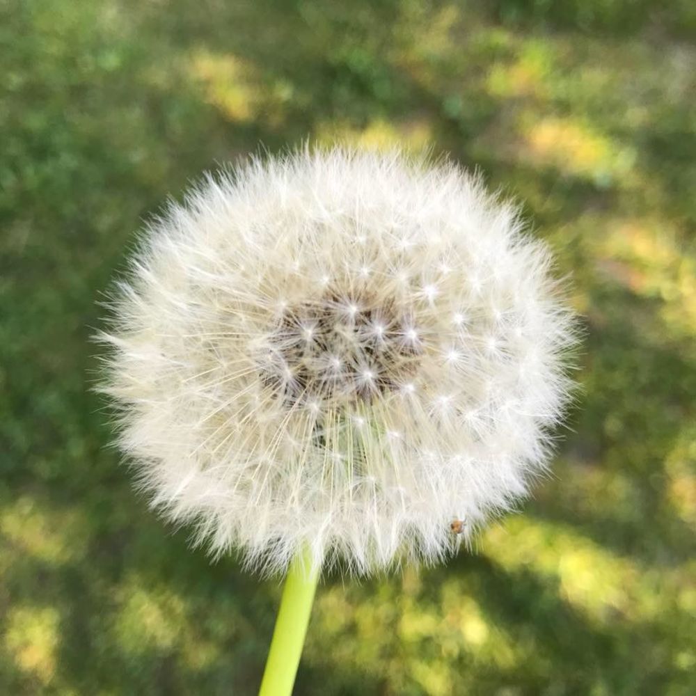 Meet your Posher, Annwyn